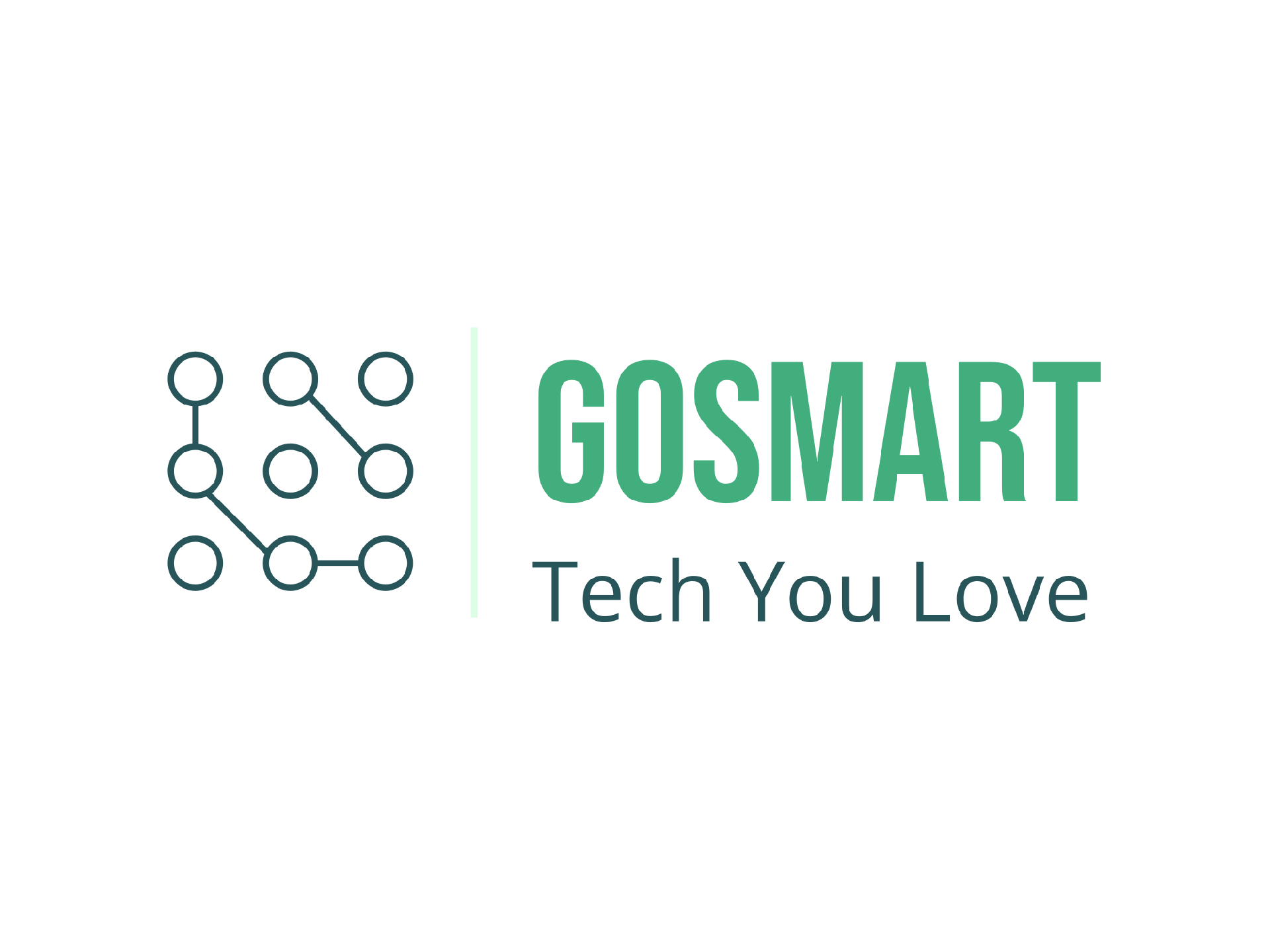Go Smarta GoSmart LLC Main page