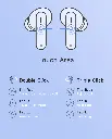 1000_13.webp