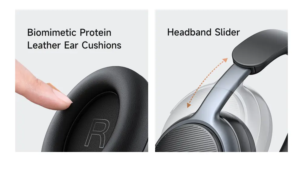 1000_06.webp
